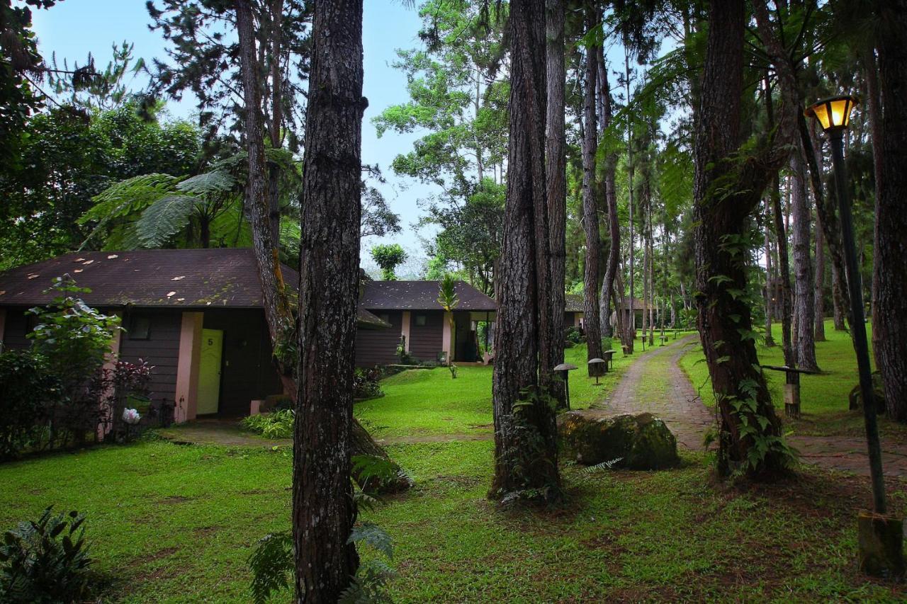 Eden Nature Park And Resort Davao City Eksteriør bilde